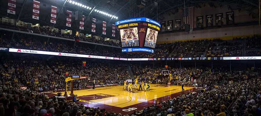 Williams Arena Image